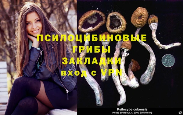 COCAINE Майский