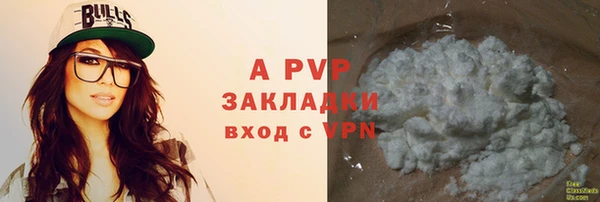 ПСИЛОЦИБИНОВЫЕ ГРИБЫ Магас