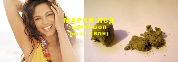 ПСИЛОЦИБИНОВЫЕ ГРИБЫ Магас