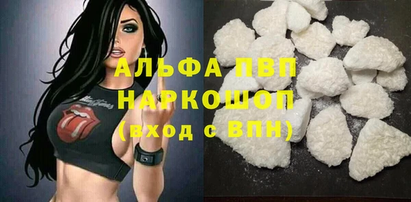 ГАЛЛЮЦИНОГЕННЫЕ ГРИБЫ Чекалин
