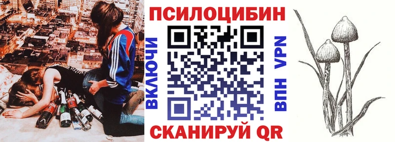 Псилоцибиновые грибы Cubensis  купить наркотик  Нефтегорск 